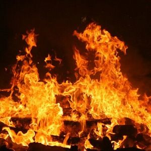 Meet your Posher, Black